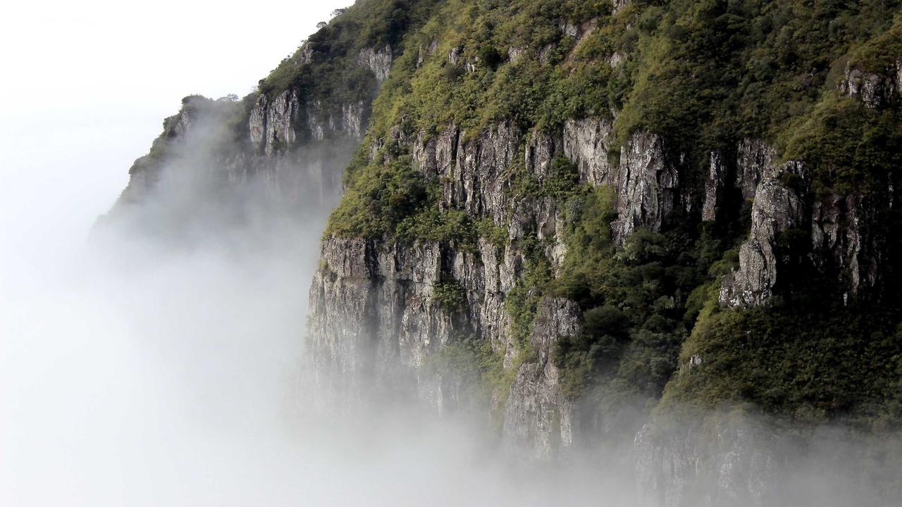 196体育平台介绍